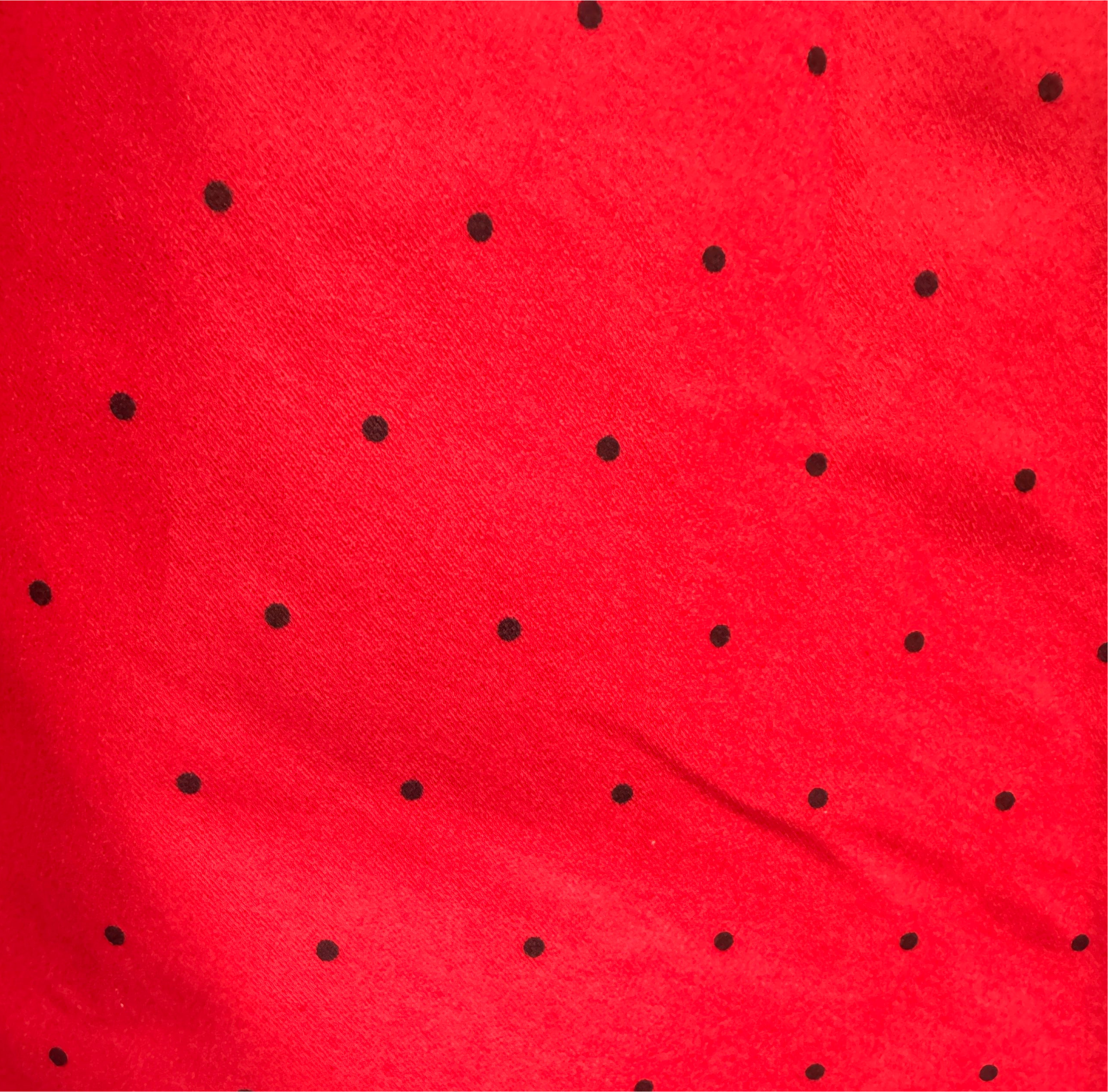 The Charleston Swing Dress